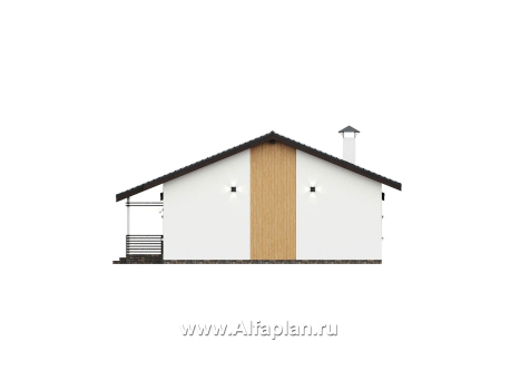 «Золотые поля»- проект одноэтажного дома, планировка мастер спальня и две детских, с террасой и двускатной крышей - превью фасада дома