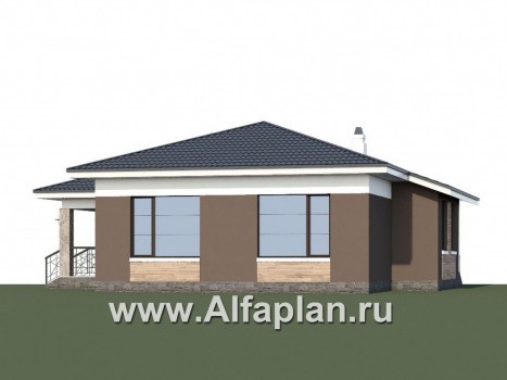Проекты домов Альфаплан - «Ариадна» - одноэтажный дом для узкого участка - превью дополнительного изображения №1