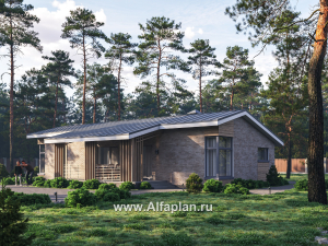 Проекты домов Альфаплан - "Алладин" - проект одноэтажного дома, мастер спальня, с террасой и красивым потолком гостиной со стропилами - превью основного изображения