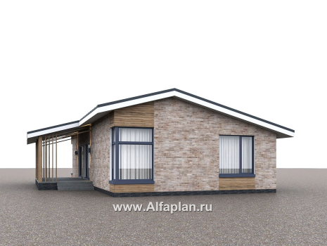 Проекты домов Альфаплан - "Алладин" - проект одноэтажного дома, мастер спальня, с террасой и красивым потолком гостиной со стропилами  - превью дополнительного изображения №2