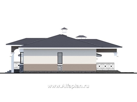 Проекты домов Альфаплан - "Новый свет" - проект одноэтажного дома с гаражом для небольшой семьи - превью фасада №2